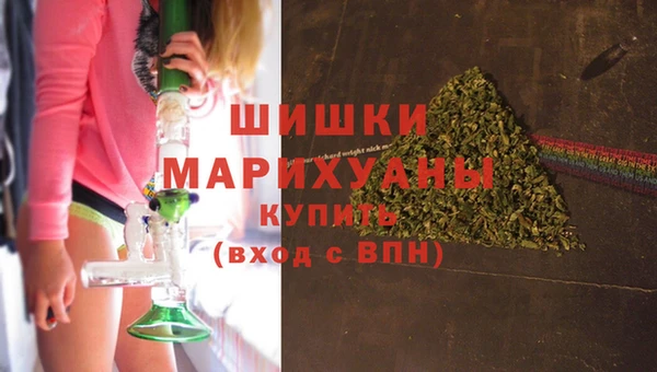 скорость Вяземский