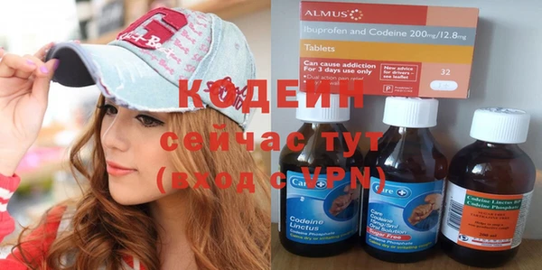 скорость Вяземский