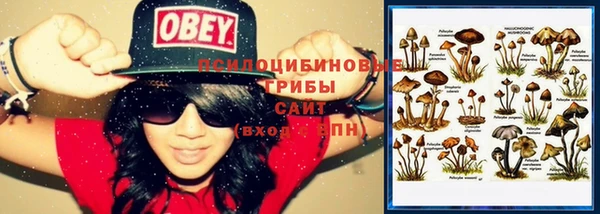 скорость Вяземский