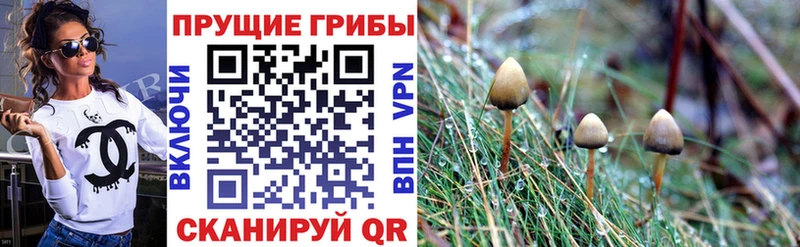 Псилоцибиновые грибы Magic Shrooms  где можно купить наркотик  hydra   Пласт 