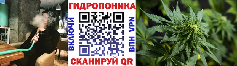 Марихуана сатива  кракен   Пласт 